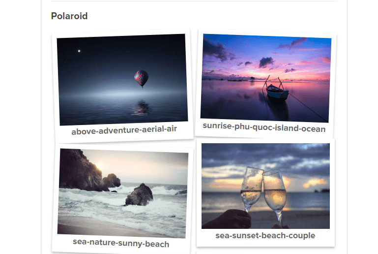 Polaroid gallery