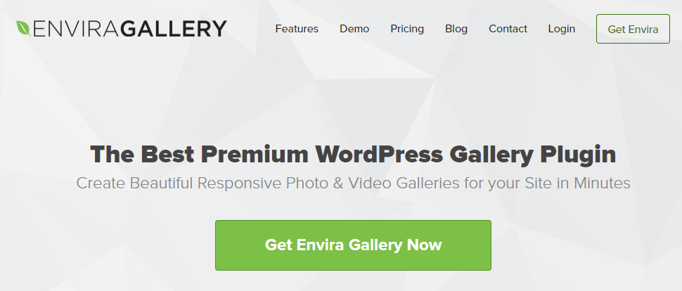 Envira Gallery review