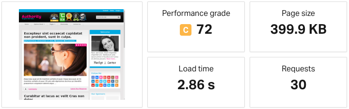 authority theme speed check