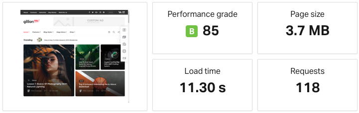 gillion theme speed test