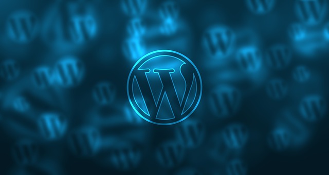 wordpress CMS and plugins